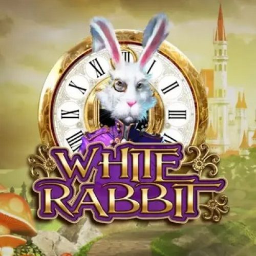 White Rabbit demo